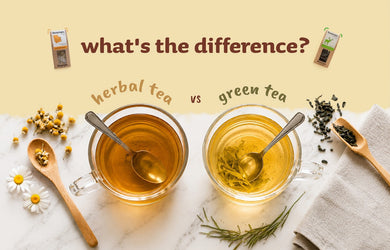 Herbal Tea vs Green Tea: What's the Difference?