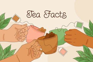 Facts About Tea