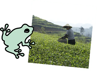 sustainability