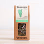 teapigs chocolate & mint tea